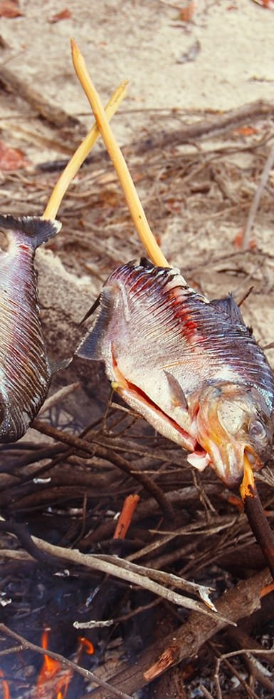 Peixe preparado na brasa